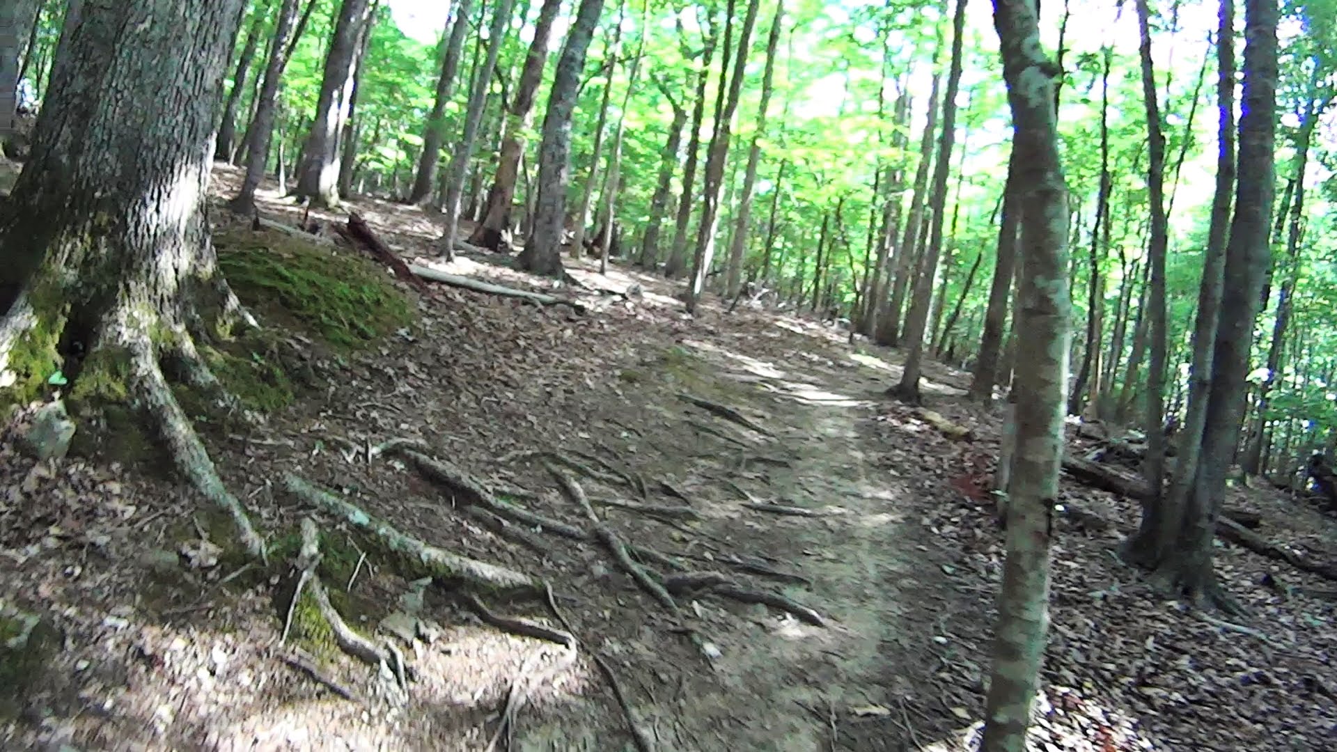 briar chapel mtb trails